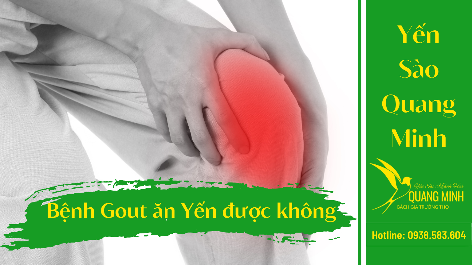 Người Bệnh Gout Ăn Tổ Yến Được Không?