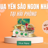 yến sào hải phòng