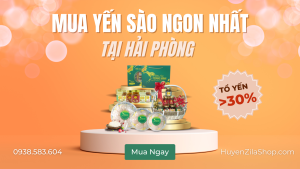 yến sào hải phòng