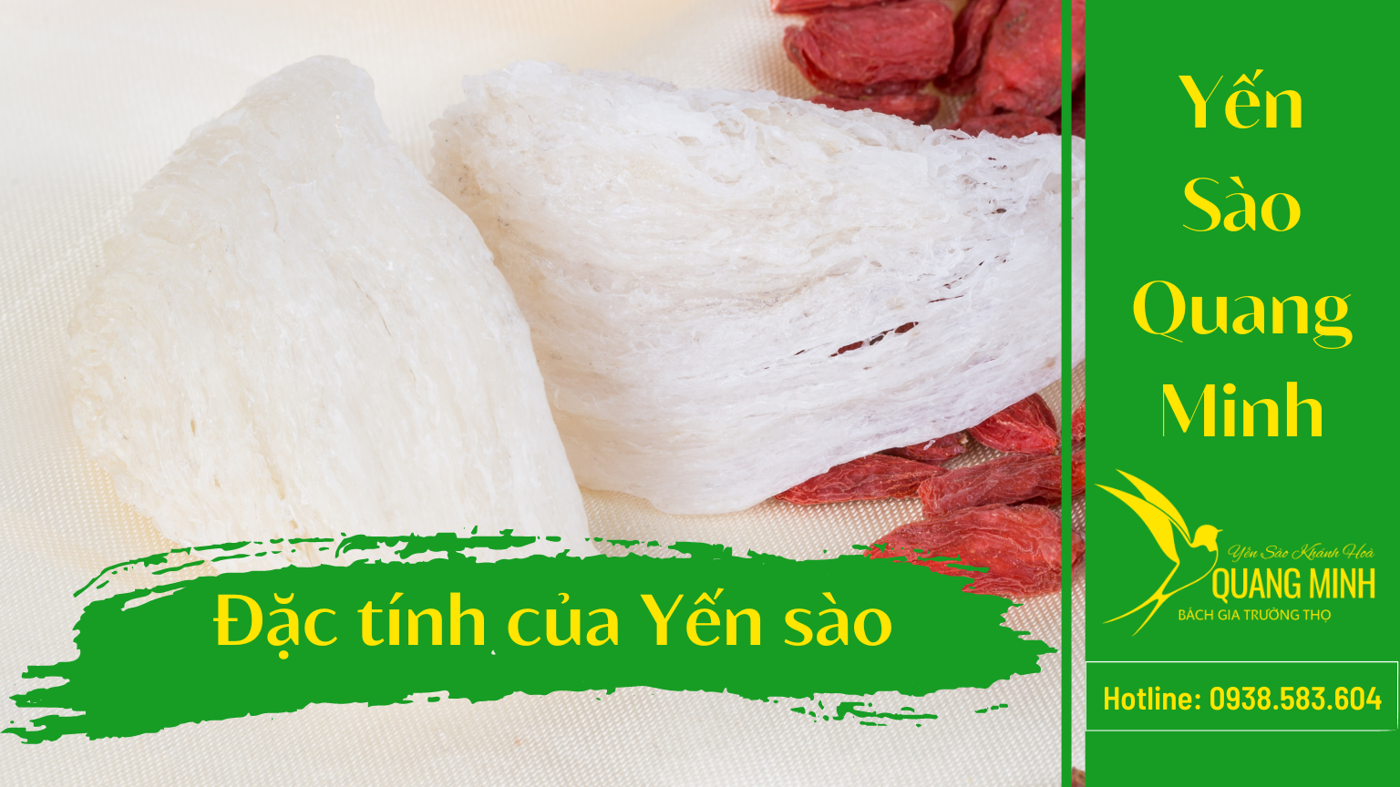 Tổ Yến Ăn Nóng Hay Lạnh Sẽ Tốt Hơn?