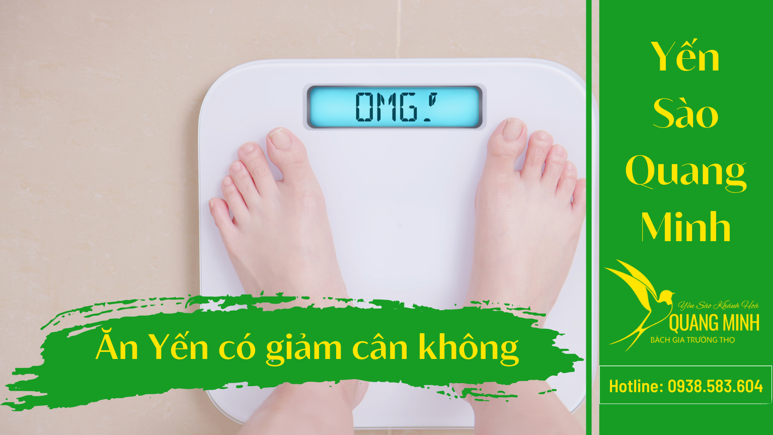 Người Đang Giảm Cân Có Nên Ăn Yến Sào Không?