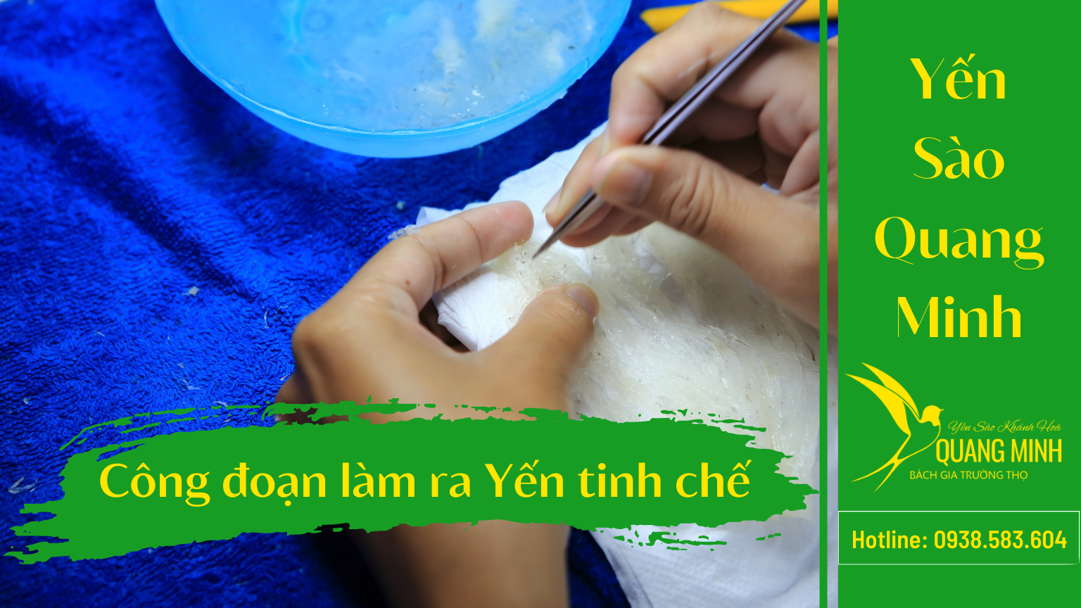 Yến Tinh Chế Được Làm Ra Như Thế Nào?