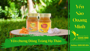 Yến Chưng Đông Trùng Hạ Thảo: Cách Chưng Và Tác Dụng