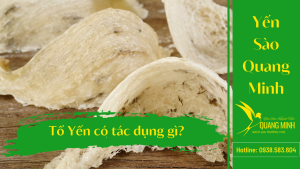 tổ yến có tác dụng gì