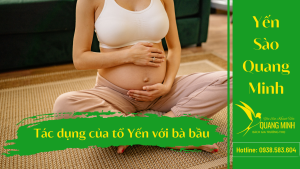 Tác dụng của tổ yến với bà bầu