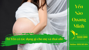 tổ yến có tác dụng gì cho thai nhi