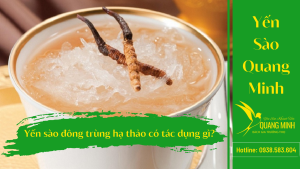 tác dụng yến sào đông trùng hạ thảo