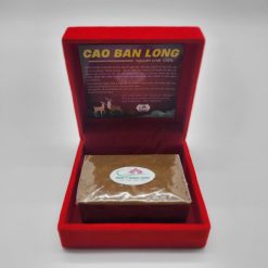 Cao ban long hộp 100g